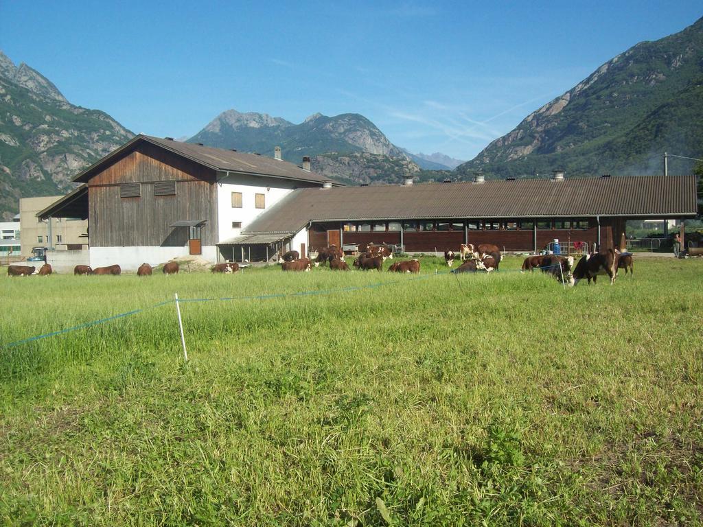 Agriturismo La Grange Pont-Saint-Martin Exteriér fotografie