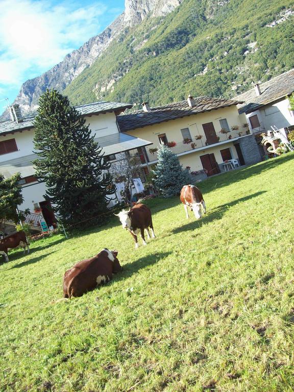 Agriturismo La Grange Pont-Saint-Martin Exteriér fotografie